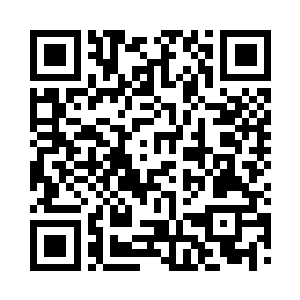 就直接对无尽之城的大族龙蛇一族动手二维码生成