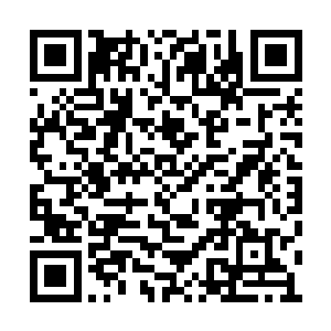 就直接被这次家族的长辈拉回去狠狠训斥了一顿二维码生成