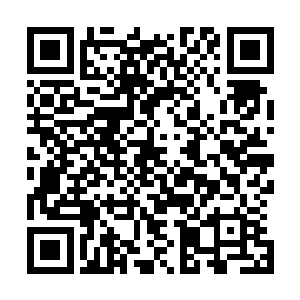 就相当于一个个汇聚了各个大陆上魔族生机和精气神的结晶二维码生成