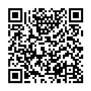 就相当于将整个罪恶之城都当作了一个巨大的诱饵二维码生成