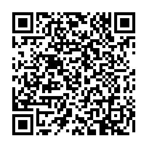 就相当于将这两名角色的各种能力叠加了四个次元之后方才催生出的怪物……二维码生成