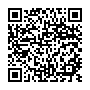就盼着哪天赵老三帮派的人来教训风天翔甚至是直接做掉他二维码生成