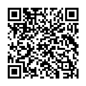 就看出了一点苗头自己的外孙女似乎也喜欢上了张卫东二维码生成
