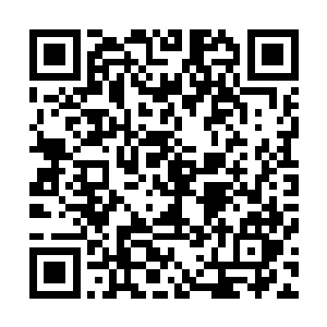 就看到一个胖子和一个大高个急匆匆的从各自的酒店里出来二维码生成