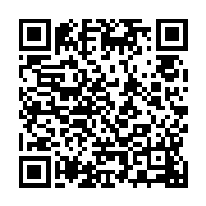 就看到一个颀长的身影手里提着一个大圆盒从黑暗走出来二维码生成