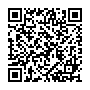 就看到一张有些熟悉的狞恶的脸出现在自己面前二维码生成