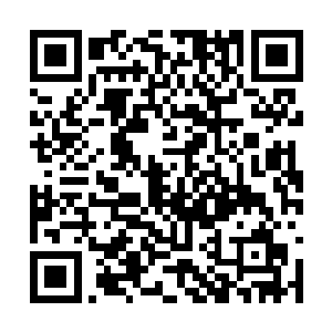 就看到一群的魔族全都眼巴巴地可怜兮兮地看着他二维码生成