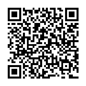 就看到之前他跟苏落战斗时凝聚出的巨石哗啦啦的往下砸二维码生成