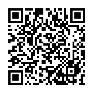 就看到了在数位官员簇拥下而来的刑部尚书何鳌二维码生成
