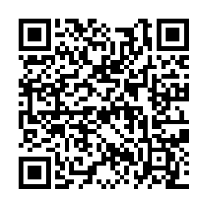 就看到了无数曾经被她羡慕和当作奋斗目标的面孔二维码生成