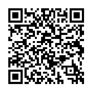 就看到了有些睡眼朦胧的美女老板从休息室走出二维码生成