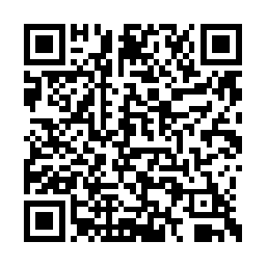 就看到了林子边沿的一颗树上猛然跳下一个人来二维码生成