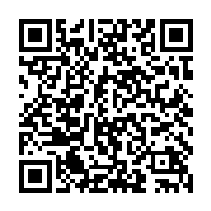 就看到了自己的母亲张怡和李阿姨正在焦急地等着她二维码生成