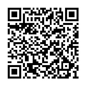 就看到二货竟在那红白相间的魂云之中载沉载浮二维码生成