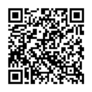就看到原本理应体力衰竭的海盗们纷纷被注入了新的活力二维码生成