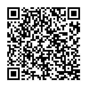 就看到她的一个舅妈正一脸微笑的带着她的几个表姐妹走到了房间之中二维码生成