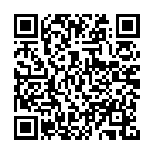 就看到对面的男人捧着一大束玫瑰话笑吟吟过来二维码生成