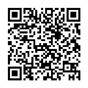 就看到广场的另一个方向出现了十几辆长长的大巴客车二维码生成