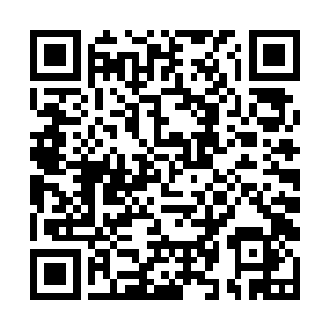 就看到晃晃悠悠的汤水里忽然映出了一张扭曲的脸庞二维码生成