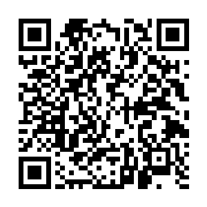 就看到独孤秋云和独孤千城两兄弟抬着一张木架走了进来二维码生成
