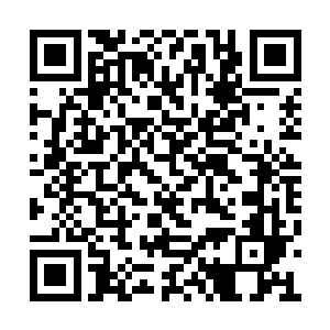 就看到站在大门口被山涧晚风吹乱头发的孙仁耀二维码生成