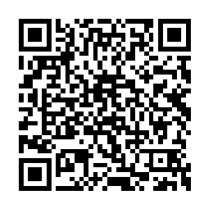 就看到那八根利刺居然从异兽的手中飞射了出来二维码生成