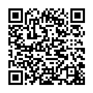 就看到那妖兽断裂的脖颈突然涌现出一股淡淡的青光二维码生成