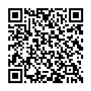 就看到那对比明显的白色字体在大屏幕上显示着二维码生成