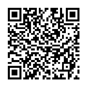 就看到隐隐有一个女孩子的背影往大老爷的书房处一闪二维码生成