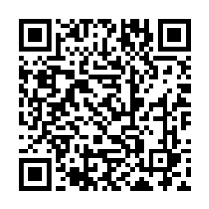 就看到非夜带着几个衣衫褴褛浑身脏兮兮的人走过来二维码生成