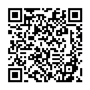 就看着妻子换了一身橘红色连衣裙笑的妩媚地走了出来二维码生成