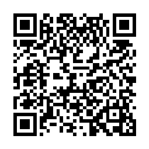 就看见一条没有表皮的手臂从大缸中央缓缓伸出来二维码生成