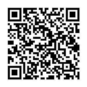 就看见一身红色套裙的叶明静站在打开的临时栅栏门边二维码生成