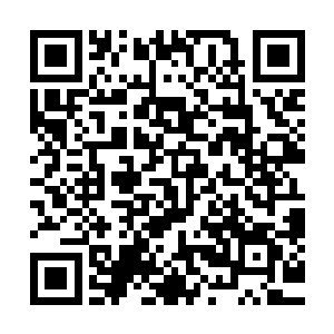 就看见乔欧背了个包包鬼鬼祟祟从二楼的下水管道上爬了下来二维码生成
