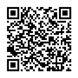 就看见了小男孩耷拉着脑袋从亚米身边跑开的落寞背影二维码生成