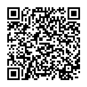 就看见了自己姐姐正和莎莎的妹妹睁着两双大眼睛饶有兴趣地看着他们二维码生成