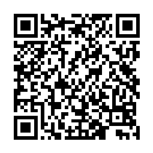 就看见南丹县招商局局长冯光伟人模狗样的拿着一杯红酒二维码生成