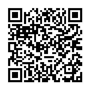 就看见昭南跟怡南各自裹了张皂穿过客厅跑卫生间去二维码生成