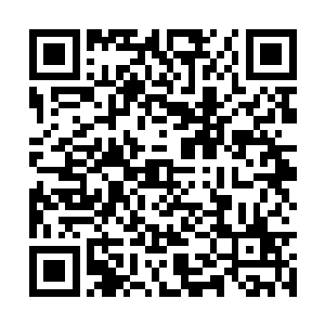 就看见朝思暮想的小丫头站在楼梯口正对着他笑呢二维码生成