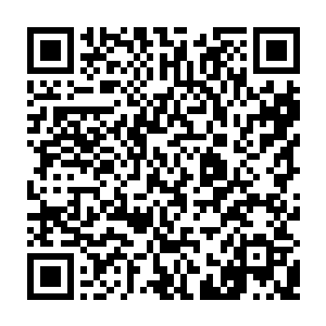 就看见秦方道具箱里面的包子快速的减少中……好在秦方平时准备的就比较充分二维码生成