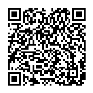 就看见门外坐着成功的表弟唐可乐背着一个大包坐在沙发上直勾勾的看着自己呢二维码生成