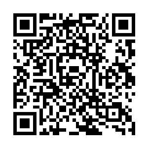 就真儿真儿把夏老头放在了跟夏爱国和苏美丽一样重的地位二维码生成