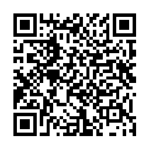 就眼巴巴的看向了那一层通往苍穹宝塔第八层的阶梯看去二维码生成