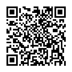 就眼睁睁看着项目陷入一个不可挽回的失败境地二维码生成