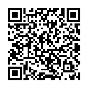 就瞧见右布政使宋煊脸色略有些铁青地从里面走出来二维码生成