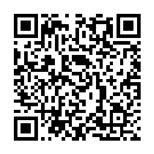 就知道了真相――合着陈太忠在炸一个冥气团的时候二维码生成