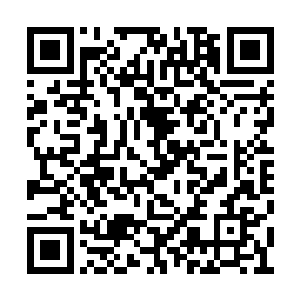 就知道他肯定是惊动了里面的那一只至尊灵兽了二维码生成