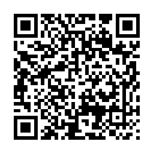 就知道以叶楚的实力凭借他一人之力难以夺取圣液二维码生成