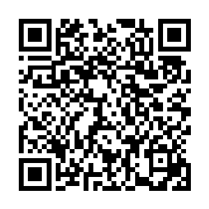 就知道圣灵城每一次招收弟子就会有不少灵体不远万里而来二维码生成