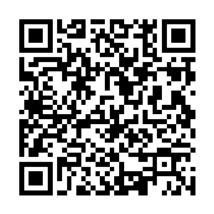 就知道白小飞绝对比不朽大师还强大－－强大很多很多二维码生成